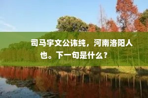 　　司马宇文公讳纯，河南洛阳人也。下一句是什么？