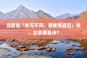 岂复知『吹万不同，而使其自已』哉。出自哪首诗？