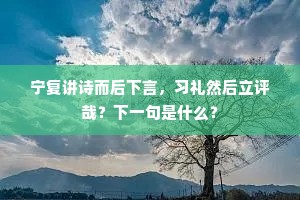 宁复讲诗而后下言，习礼然后立评哉？下一句是什么？