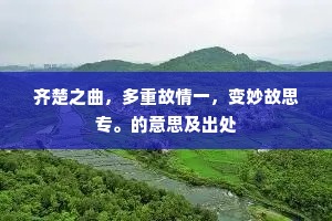 齐楚之曲，多重故情一，变妙故思专。的意思及出处