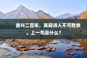 　　唐兴二百年，其间诗人不可胜数。上一句是什么？