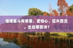 插椽星斗宵寒重，更惊心、狂矢西流。出自哪首诗？