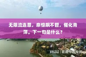 无限流连意，奈惊飙不管，催化青萍。下一句是什么？