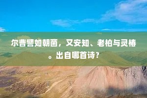 尔曹譬如朝菌，又安知、老柏与灵椿。出自哪首诗？
