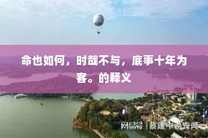 命也如何，时哉不与，底事十年为客。的释义