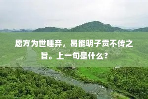 愿方为世唾弃，曷能明子贡不传之旨。上一句是什么？