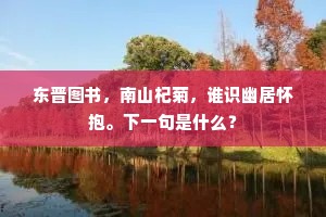 东晋图书，南山杞菊，谁识幽居怀抱。下一句是什么？