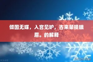 倾国无媒，入宫见妒，古来颦损蛾眉。的解释