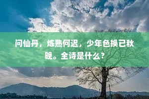 问仙丹，炼熟何迟，少年色换已秋晚。全诗是什么？
