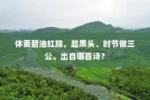 休要碧油红旆，趁黑头、时节做三公。出自哪首诗？