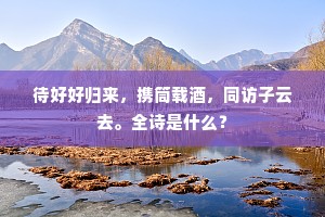 待好好归来，携筒载酒，同访子云去。全诗是什么？