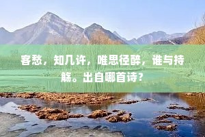 客愁，知几许，唯思径醉，谁与持觞。出自哪首诗？