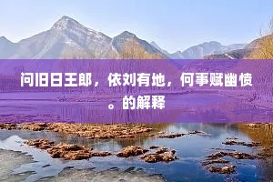 问旧日王郎，依刘有地，何事赋幽愤。的解释