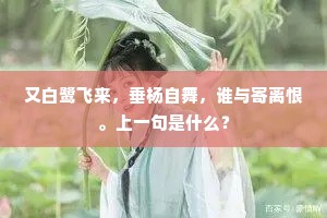 又白鹭飞来，垂杨自舞，谁与寄离恨。上一句是什么？