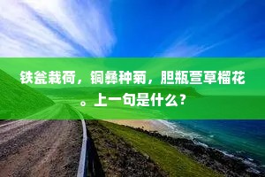 铁瓮栽荷，铜彝种菊，胆瓶萱草榴花。上一句是什么？