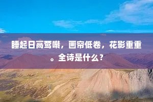 睡起日高莺啭，画帘低卷，花影重重。全诗是什么？