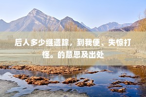 后人多少继遗踪，到我便、失惊打怪。的意思及出处