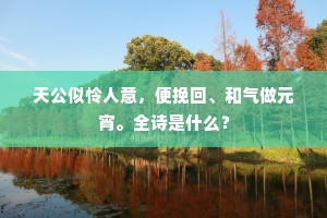 天公似怜人意，便挽回、和气做元宵。全诗是什么？