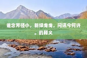 谁念芳径小，新绿戋戋，问讯今何许。的释义