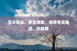 玉冷钗头，罗宽带眼，缥缈青鸾难遇。的解释