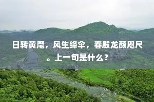 日转黄麾，风生绛伞，春殿龙颜咫尺。上一句是什么？