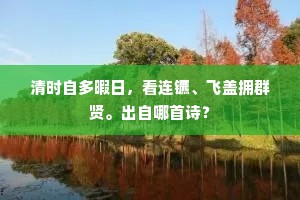 清时自多暇日，看连镳、飞盖拥群贤。出自哪首诗？