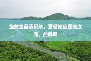 旋放金盘承积块，更轻撼琼壶撩冻澌。的解释