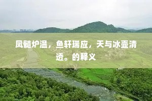 凤髓炉温，鱼轩瑞应，天与冰壶清透。的释义