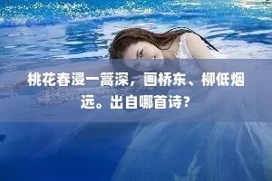 桃花春浸一篙深，画桥东、柳低烟远。出自哪首诗？