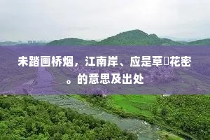未踏画桥烟，江南岸、应是草秾花密。的意思及出处