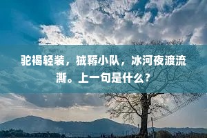 驼褐轻装，狨鞯小队，冰河夜渡流澌。上一句是什么？