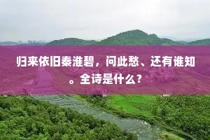 归来依旧秦淮碧，问此愁、还有谁知。全诗是什么？