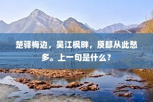 楚驿梅边，吴江枫畔，庾郎从此愁多。上一句是什么？
