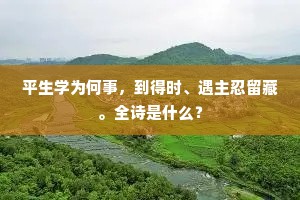 平生学为何事，到得时、遇主忍留藏。全诗是什么？
