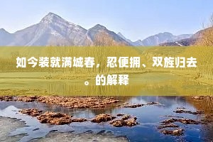 如今装就满城春，忍便拥、双旌归去。的解释