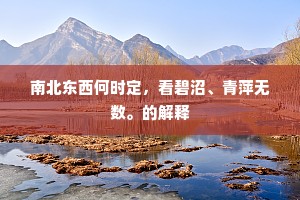 南北东西何时定，看碧沼、青萍无数。的解释