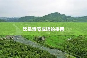 饮泉清节成语的拼音