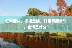 红粉墙头，柳摇金缕，纤柔舞腰低软。全诗是什么？