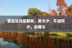 雪边试问是耶非，笑今夕、不知何夕。的释义