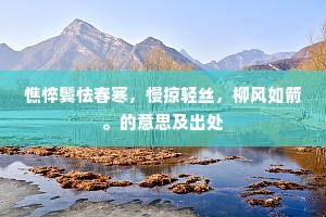 憔悴鬓怯春寒，慢掠轻丝，柳风如箭。的意思及出处