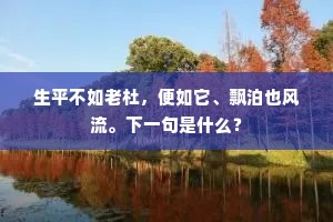 生平不如老杜，便如它、飘泊也风流。下一句是什么？