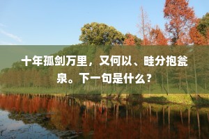 十年孤剑万里，又何以、畦分抱瓮泉。下一句是什么？