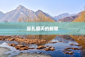 鼻孔朝天的解释