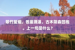 翠竹笼烟，苍崖溅瀑，古木阴森回抱。上一句是什么？