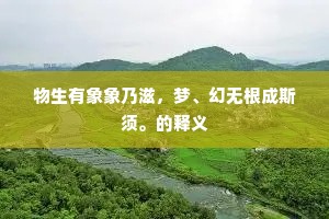 物生有象象乃滋，梦、幻无根成斯须。的释义