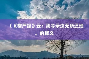 （《楞严经》云：我今示汝无所还地。的释义