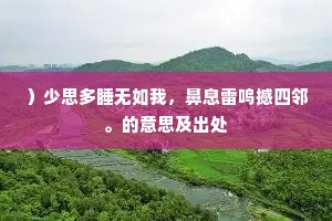 ）少思多睡无如我，鼻息雷鸣撼四邻。的意思及出处