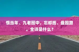 恨当年、九老图中，忘却画、盘园路。全诗是什么？