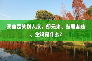 我自是笑别人底，却元来、当局者迷。全诗是什么？