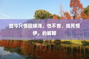 如今只恨因缘浅，也不曾、抵死恨伊。的解释